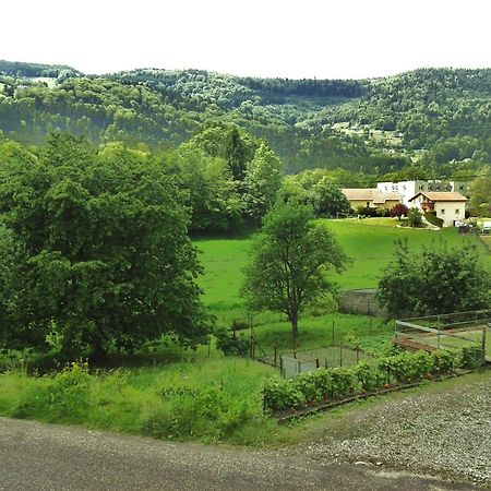 Hotel Les Jolis Coeurs Thiéfosse Esterno foto